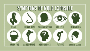 Mold Exposure