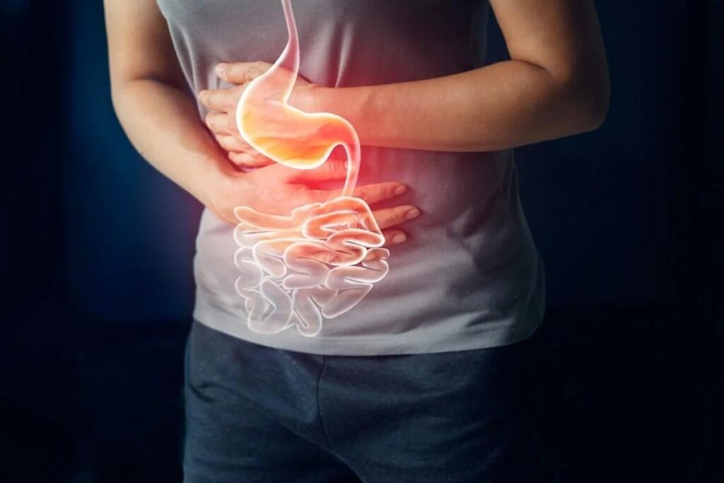Gut Health