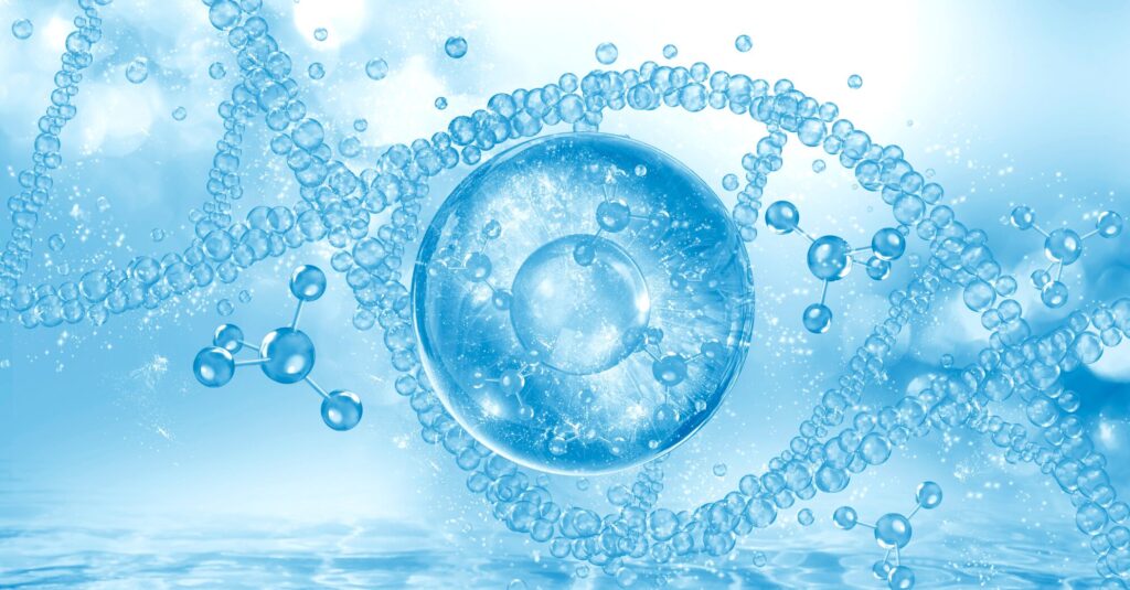 The Connection Between Mold Exposure and Detoxification