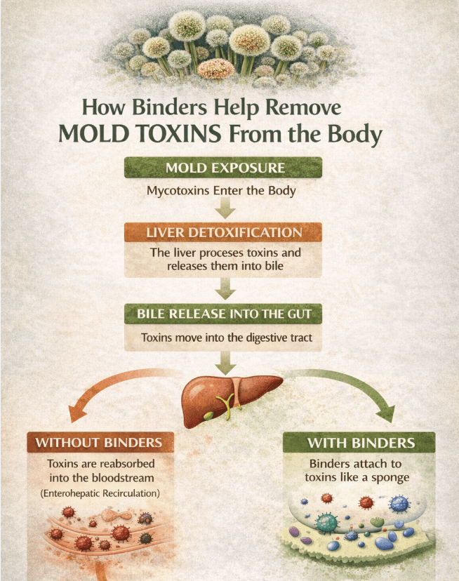 Screen Shot 2026-03-07 at 2.09.59 PM